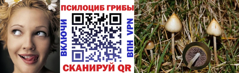 Галлюциногенные грибы прущие грибы  omg как войти  Буинск 